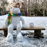 “札幌バンクシー”さんの今季最後の《＃雪ボーイ》と元気なリスたちと！～円山公園＆北海道神宮散策～