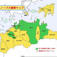 宇多津町内からカノープス