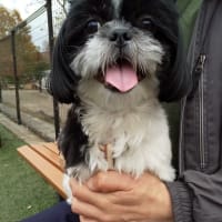 ドッグラン🐾🐾
