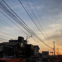 やはり褒められると