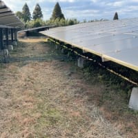 太陽光発電所の除草作業
