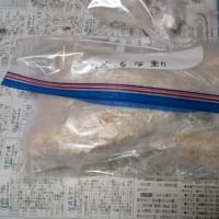 デカ鯵のアジフライ