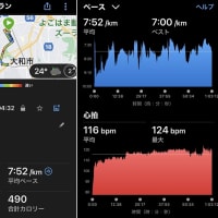 朝ラン８ｋｍ & 庭木の剪定作用