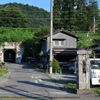 七夕のころ
