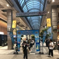 Pokémon GO Fest 2024 仙台