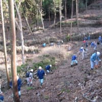企業参加の森づくり～「心の故郷・いやしの森」　島根県森林土木技術協会～