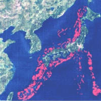 柏崎刈羽原発直下と海域に活断層　No271