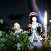 黒い砂漠 星座知識 ぷちたの黒い砂漠にっき