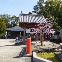 春巡礼、初日