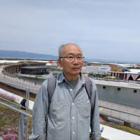 大阪万博、行きました。リングは圧巻です。