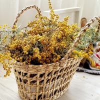 今日はお散歩がてらお買い物デー☆