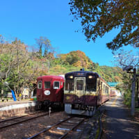 記録　わたらせ渓谷鐵道神戸駅(ごうどえき)