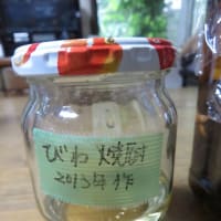 枇杷のタネでエキスを作りました