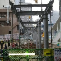 新潟駅にせきとりがやってきた