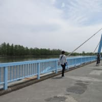 水元公園 Apr-20-2024