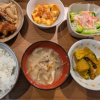今日の家庭菜園の収穫