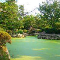 8月のお城