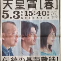 2015　第151回　天皇賞春　新聞広告