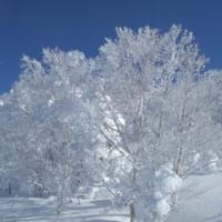 また雪だって