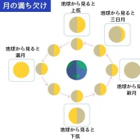 晴天を背景に上弦＋1DAYな月がぷかり♪