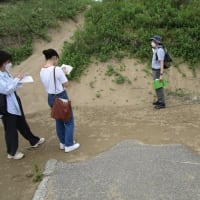 人が回復した自然ー加賀市・塩屋海岸
