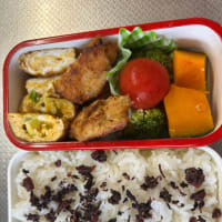 末っ子の遠足弁当