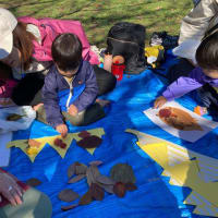 11月7日　遠足 in 江古田の森