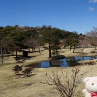 国指定名勝 楽山園(2025年4月)