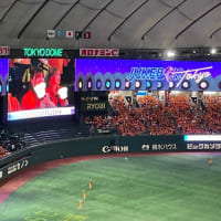 2024/06/07　巨人×オリックス　ちょこっとドラゴンズを