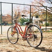 待っている自転車