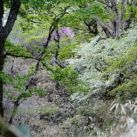なんて美しい　この世界　Ⅱ