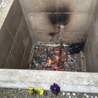 平成28年・夏越大祓