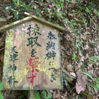 縄文探偵、長者ヶ原遺跡の縄文の小道を探検踏査！・・・「海のヒスイロード」のアプローチ
