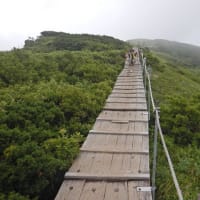 夏 ``鳥取の大山へ
