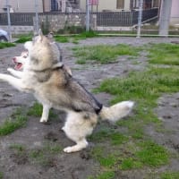ガッカリだ〜