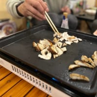ゴールドラッシュ！ゲットの旅