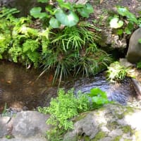 行く場所が無い