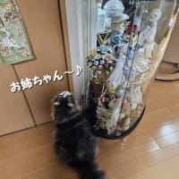 息子夫婦の帰省