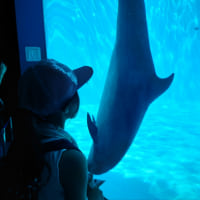 「暑くても楽しみな夏の1日 水...」