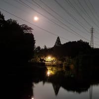 仲秋の夜の散歩