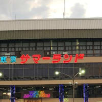 コロナの穴場スポット　東京サマーランド