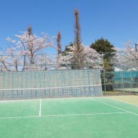 テニスの基本A　壁打ちの極意を掲載します！！　練習方法１～６・まとめ　時折更新！