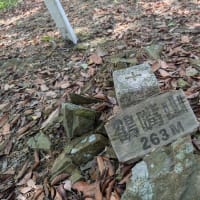 鶴嘴山　2025.5　「23」