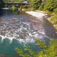 今日の那賀川上流
