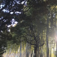 対人関係で観察眼はどう使う？