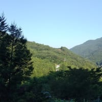 令和7年6月29日・今朝の東祖谷19℃（17.4℃）