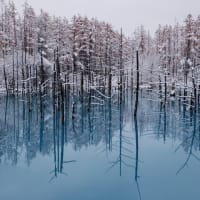 白　黒　青　の青い池