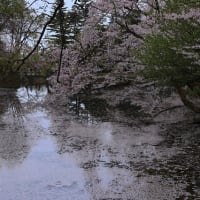 花いかだ　グーブログからお知らせ