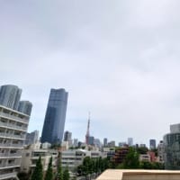 六本木で焼き方が超レアなハンバーガーどうでしょう