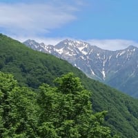 ここで